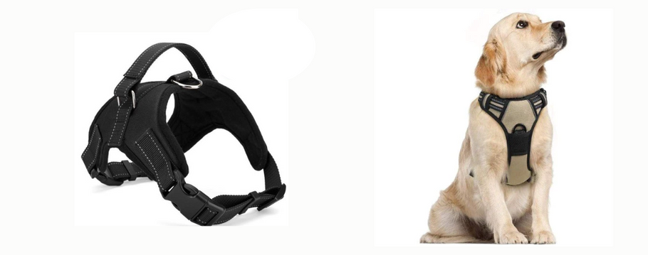 Why Do You Need a Fully Adjustable Dog Harness for Your Pet?
