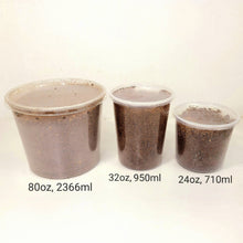 Load image into Gallery viewer, Beelte Larvae Kit