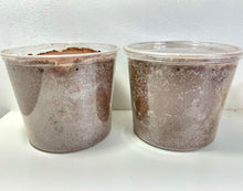 Load image into Gallery viewer, Goliath Beetle Pupation Substrate