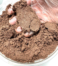 Load image into Gallery viewer, Goliath Beetle Pupation Substrate