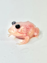 Load image into Gallery viewer, C13 Black Eyed Pink Chicken Mutant
