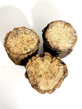 Load image into Gallery viewer, Breeding Log