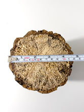 Load image into Gallery viewer, Breeding Log