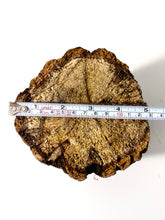 Load image into Gallery viewer, Breeding Log