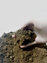 Load image into Gallery viewer, Goliath Beetle Pupation Substrate