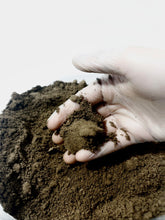 Load image into Gallery viewer, Goliath Beetle Pupation Substrate