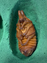 Load image into Gallery viewer, Artificial Pupa Cell