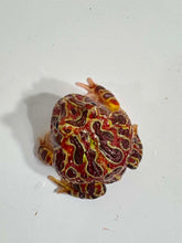 Load image into Gallery viewer, #1 High Red Ornate (Extra Red)