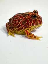 Load image into Gallery viewer, #2 High Red Ornate (Extra Red)