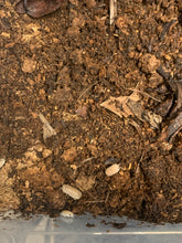 Load image into Gallery viewer, Isopod Premium Substrate