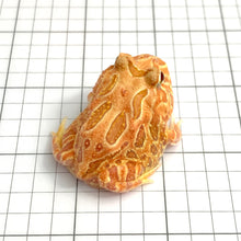 Load image into Gallery viewer, D93 Strawberry frog