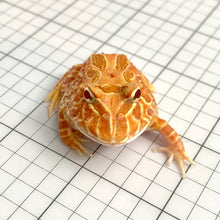 Load image into Gallery viewer, D93 Strawberry frog