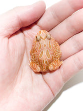 Load image into Gallery viewer, D93 Strawberry frog