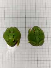 Load image into Gallery viewer, D93 Ultra Clean Green/Emerald (STOCK PHOTO)