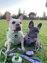 Load image into Gallery viewer, Sunset Butterfly - Adjustable Pet Harness