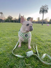 Load image into Gallery viewer, Green Wave Checker - Adjustable Pet Harness