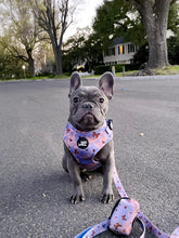 Load image into Gallery viewer, Sunset Butterfly - Adjustable Pet Harness