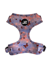 Load image into Gallery viewer, Sunset Butterfly - Adjustable Pet Harness
