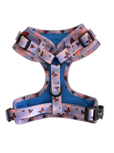 Load image into Gallery viewer, Sunset Butterfly - Adjustable Pet Harness
