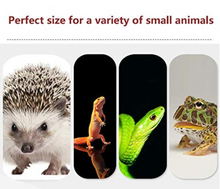 Load image into Gallery viewer, Z24 Transparent Acrylic Reptile Tank - JamJam Exotic