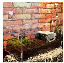 Load image into Gallery viewer, Z24 Transparent Acrylic Reptile Tank - JamJam Exotic