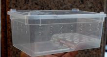 Load image into Gallery viewer, Z25 Reptile Plastic Ventilated Box (Various sizes XL, L, M, & S) - JamJam Exotic
