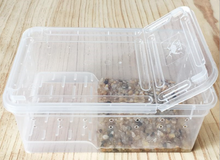 Load image into Gallery viewer, Z25 Reptile Plastic Ventilated Box (Various sizes XL, L, M, & S) - JamJam Exotic