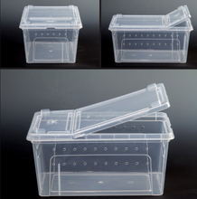 Load image into Gallery viewer, Z25 Reptile Plastic Ventilated Box (Various sizes XL, L, M, & S) - JamJam Exotic