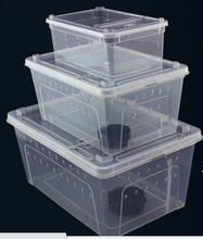 Load image into Gallery viewer, Z25 Reptile Plastic Ventilated Box (Various sizes XL, L, M, & S) - JamJam Exotic