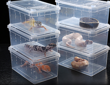 Load image into Gallery viewer, Z25 Reptile Plastic Ventilated Box (Various sizes XL, L, M, & S) - JamJam Exotic