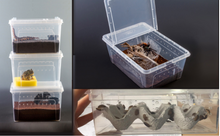 Load image into Gallery viewer, Z25 Reptile Plastic Ventilated Box (Various sizes XL, L, M, & S) - JamJam Exotic