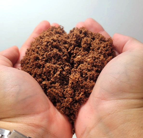 Why Beetle Substrate Matters More Than You Think