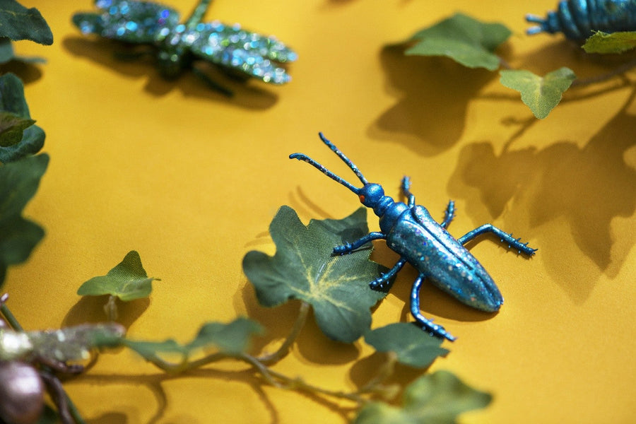The Fascinating World of Beetles: Species You Can Own Today