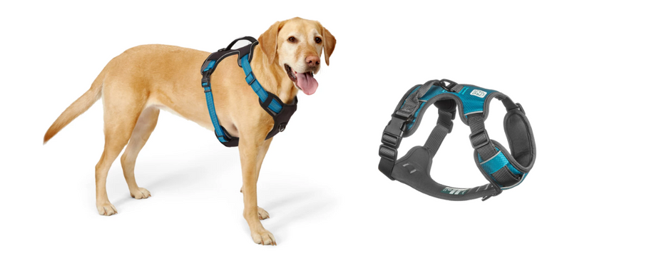 Features You'll Get with Adjustable Dog Harness
