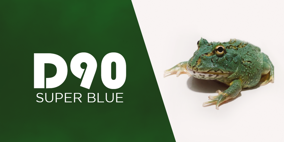 Know About Super Blue Pacman Frog – It’s Quite Special