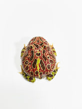 Load image into Gallery viewer, High Red Ornate (Extra Red) #2

