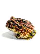 Load image into Gallery viewer, High Red Ornate (Extra Red) #4
