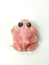 Load image into Gallery viewer, C03 Black Eyed Pink Chicken Mutant
