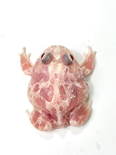 Load image into Gallery viewer, C07 White Albino Pink Mutant
