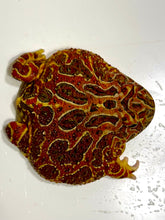 Load image into Gallery viewer, Adult Male High Red Ornate #5
