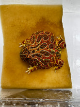 Load image into Gallery viewer, Adult Male High Red Ornate #5
