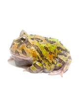 Load image into Gallery viewer, E24 Adult Male Phantom Mutant
