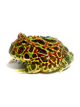 Load image into Gallery viewer, E63 Sub Adult Male High Red Ornate
