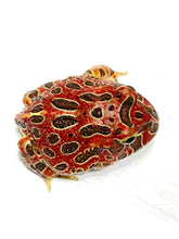 Load image into Gallery viewer, High Red Ornate (Extra Red) #3
