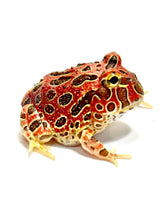 Load image into Gallery viewer, High Red Ornate (Extra Red) #3
