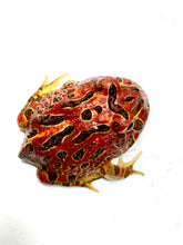 Load image into Gallery viewer, High Red Ornate (Extra Red) #5
