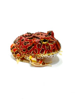 Load image into Gallery viewer, High Red Ornate (Extra Red) #5
