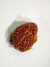 Load image into Gallery viewer, #2 High Red Ornate (Extra Red)
