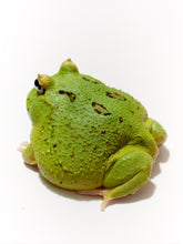 Load image into Gallery viewer, D28 Green Apple (BIG)

