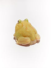 Load image into Gallery viewer, D12 Pikachu Albino
